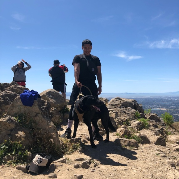 Meet your Posher, Angel - Picture 1 of 1